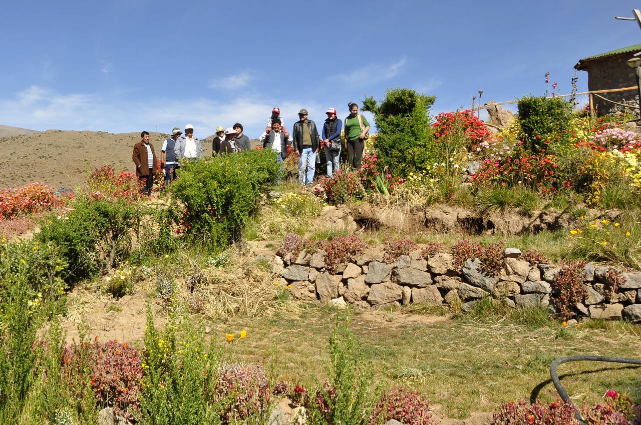 La Granja Del Colca Villa Cabanaconde Exterior photo