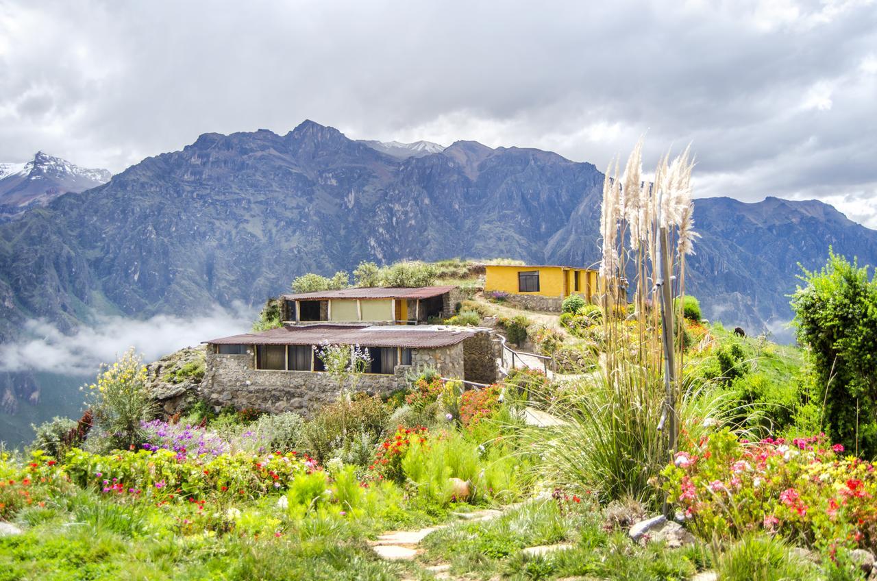 La Granja Del Colca Villa Cabanaconde Exterior photo